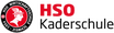 Logo-des-Kooperationspartners-HSO-Wirtschaftsschule-Zürich