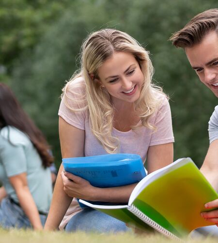 Zwei Gruppen von Studierenden auf einer Wiese lernend