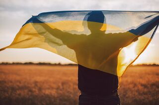 Mensch mit ukrainischer Fahne über Schultern steht auf Feld